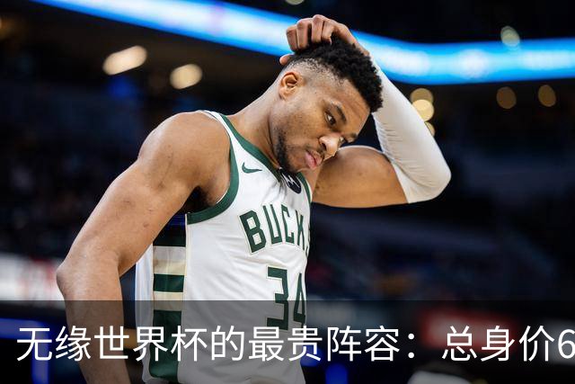 无缘世界杯的最贵阵容：总身价6.7亿 意大利5人