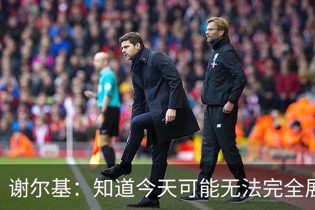 谢尔基：知道今天可能无法完全展现技战术水平，因为对手擅长肉搏